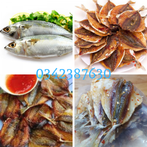 ca-chi-vang-bao-nhieu-tien-1kg