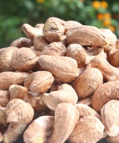 mua hạt điều ở đâu