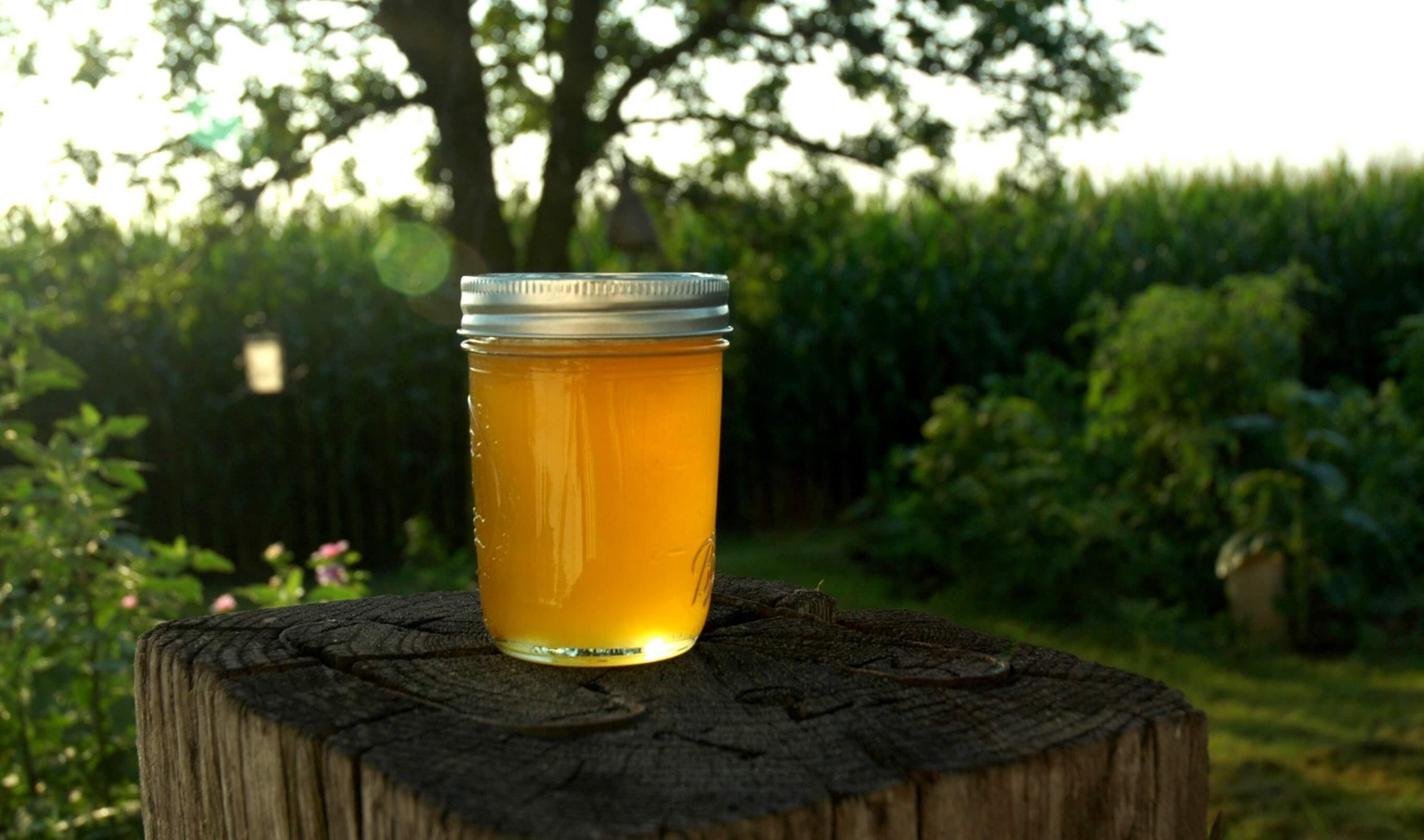 Mật ong nguyên chất: Chúng tôi tự hào cung cấp đến bạn mật ong nguyên chất, được thu hoạch tại vùng núi rừng phía Bắc. Với quy trình sản xuất và kiểm soát chất lượng khắt khe, chúng tôi đảm bảo mang đến cho bạn một sản phẩm tốt nhất cho sức khỏe và khẩu vị của bạn.